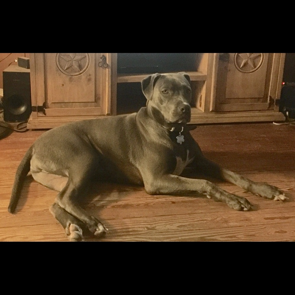 Meet your Posher, Christen